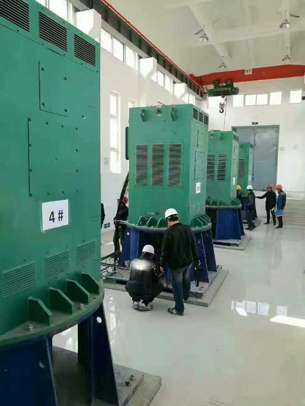 孟津某污水处理厂使用我厂的立式高压电机安装现场安装尺寸